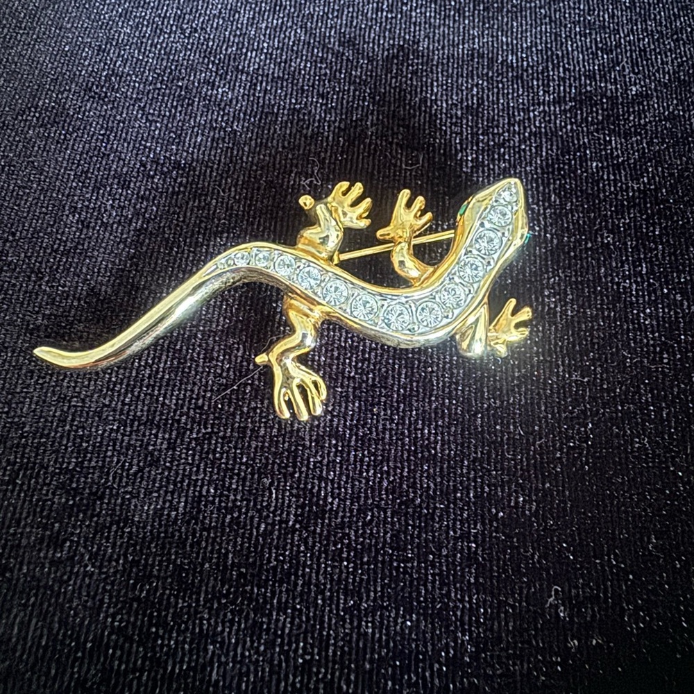 Salamander brooch